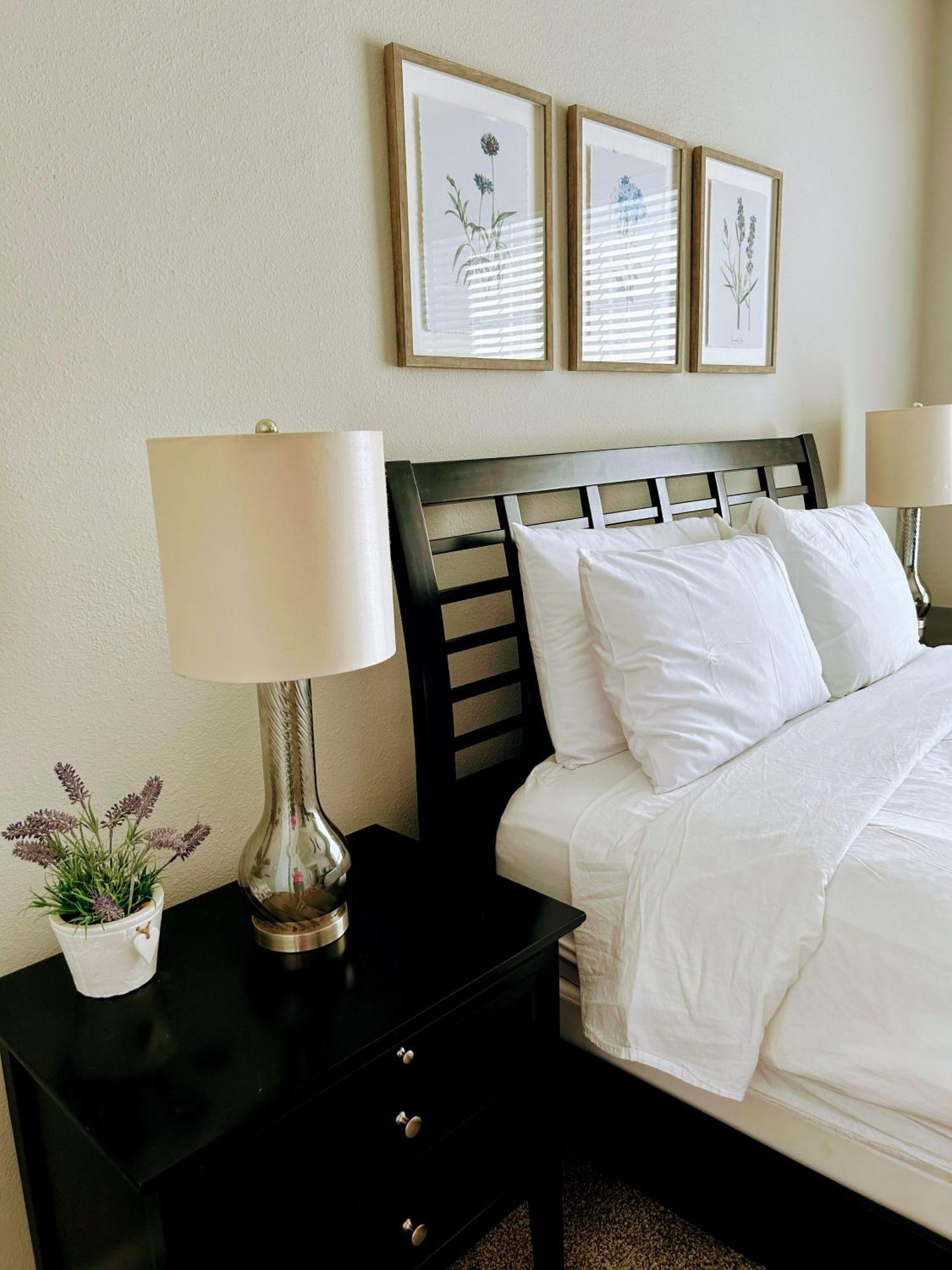 Hidden Gem At Med Center 2Br & 2Ba Apartment Houston Esterno foto